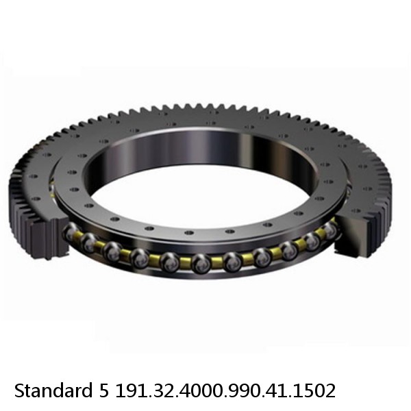 191.32.4000.990.41.1502 Standard 5 Slewing Ring Bearings