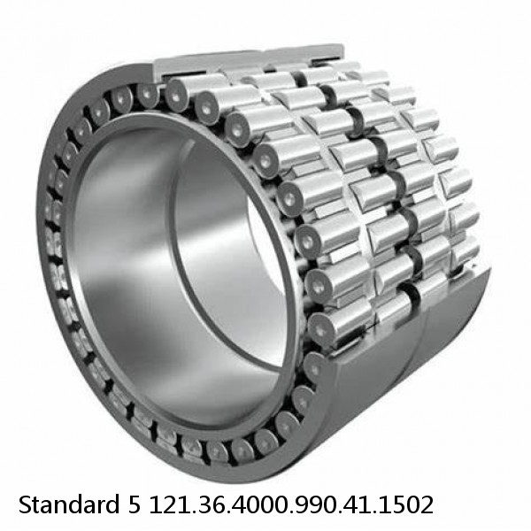 121.36.4000.990.41.1502 Standard 5 Slewing Ring Bearings