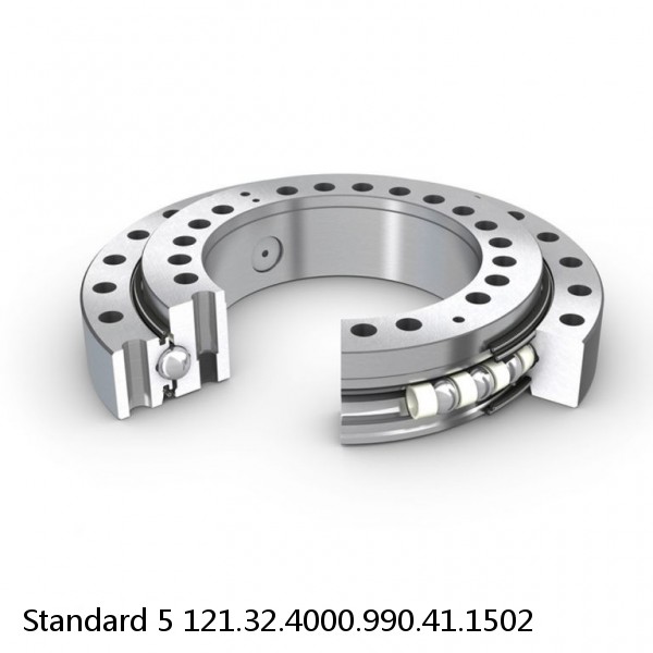 121.32.4000.990.41.1502 Standard 5 Slewing Ring Bearings