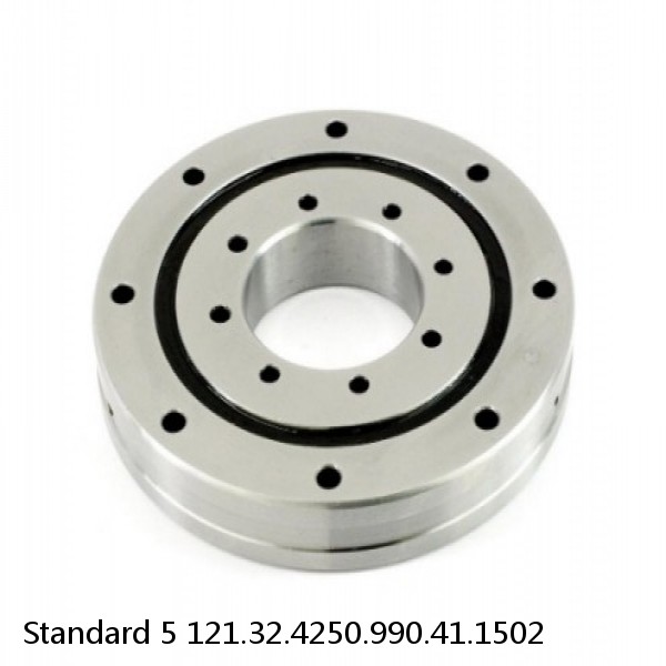 121.32.4250.990.41.1502 Standard 5 Slewing Ring Bearings