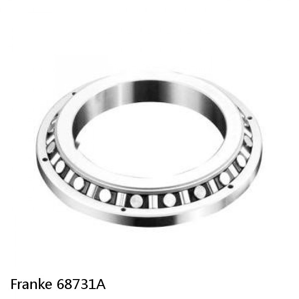 68731A Franke Slewing Ring Bearings